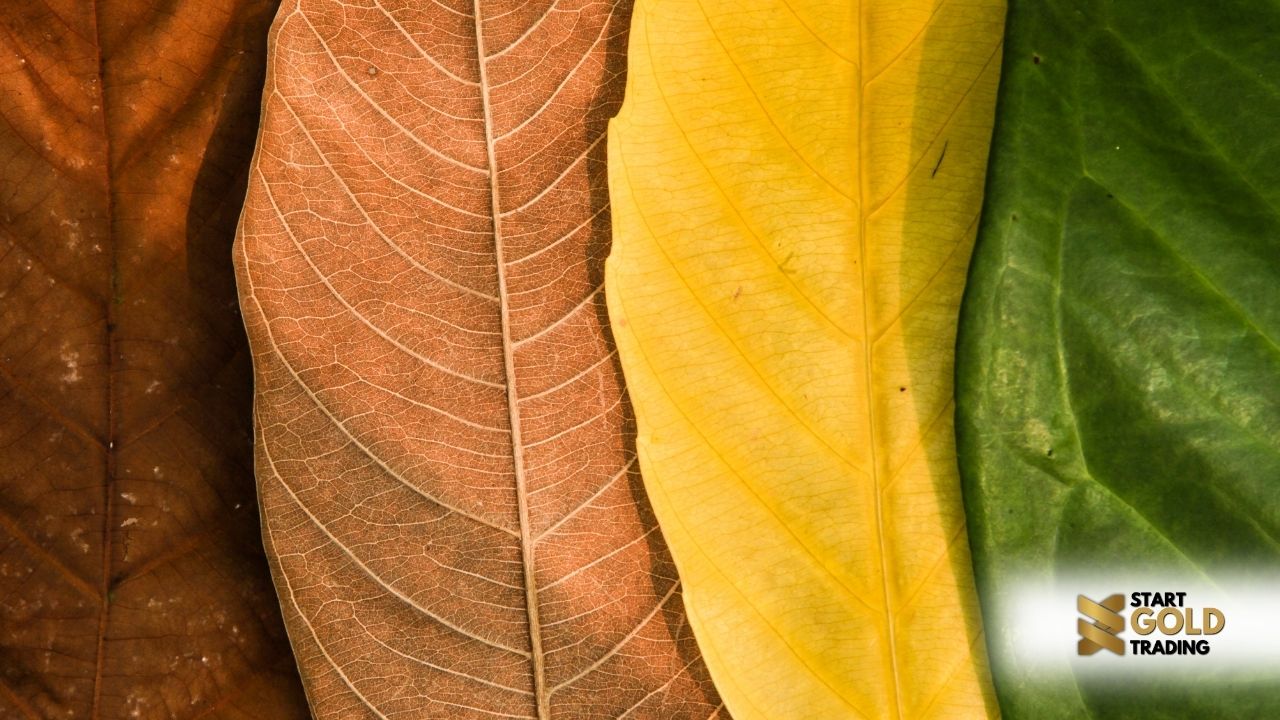 Seasonal Trends in Gold Trading Cycles | Start Gold Trading